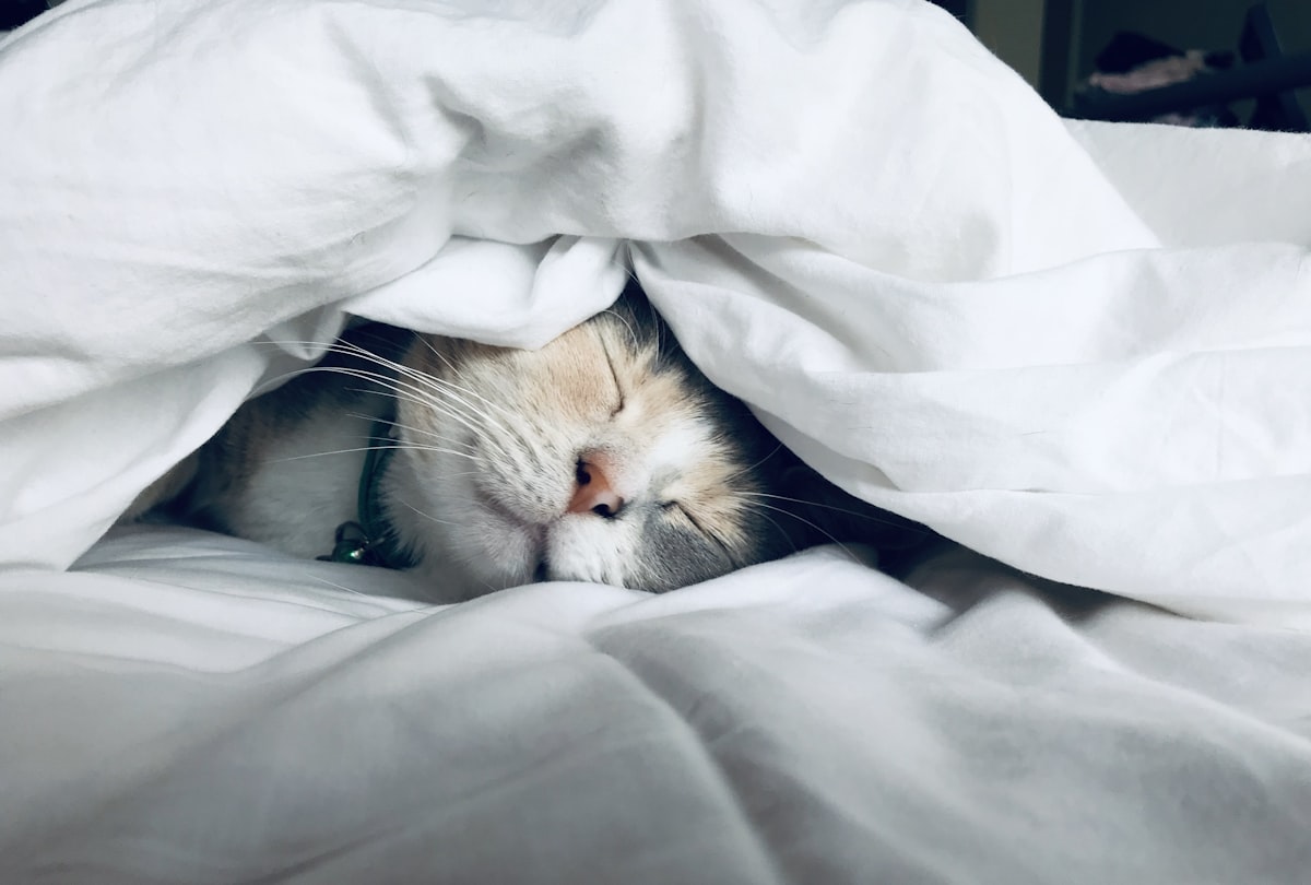 How Sleep Deprivation Degrades Reaction Time and Motor Control